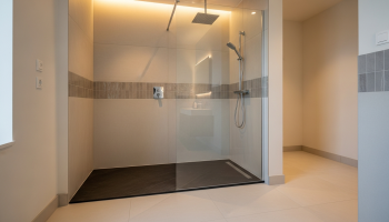 ¿Cuánto cuesta cambiar la bañera por un plato de ducha?